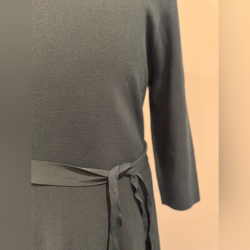 Eliza J Deep Evergreen Long Sleeve Dress